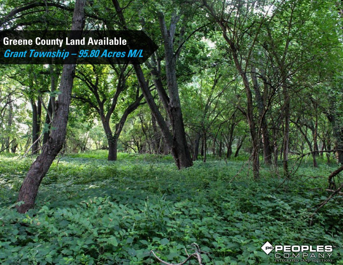 Listing Photo: Greene-Co-Rec-Land-Available-95-Acres-19559 (29)